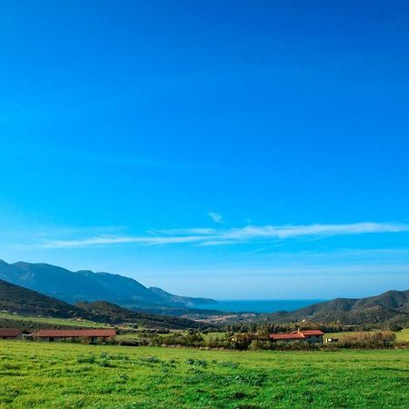 Agriturismo Il Ginepro Флуминимаджоре Екстериор снимка