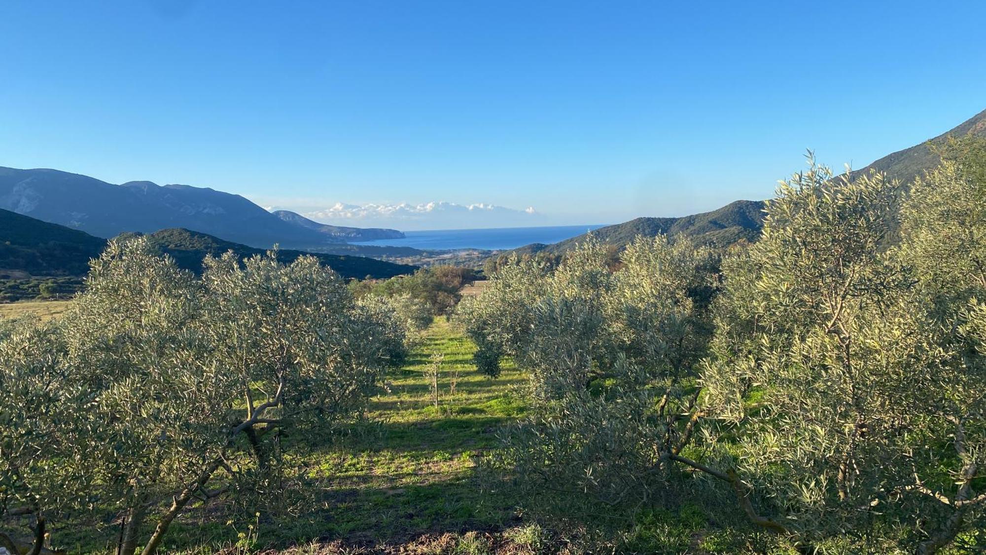 Agriturismo Il Ginepro Флуминимаджоре Екстериор снимка