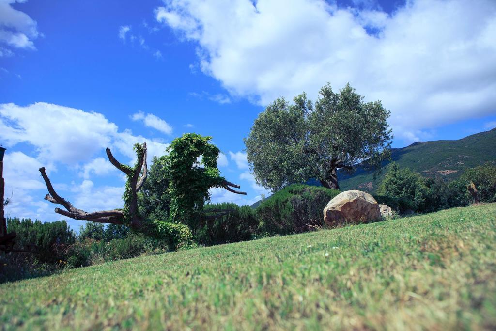 Agriturismo Il Ginepro Флуминимаджоре Екстериор снимка