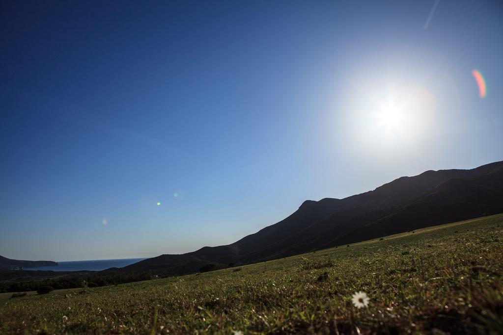 Agriturismo Il Ginepro Флуминимаджоре Екстериор снимка