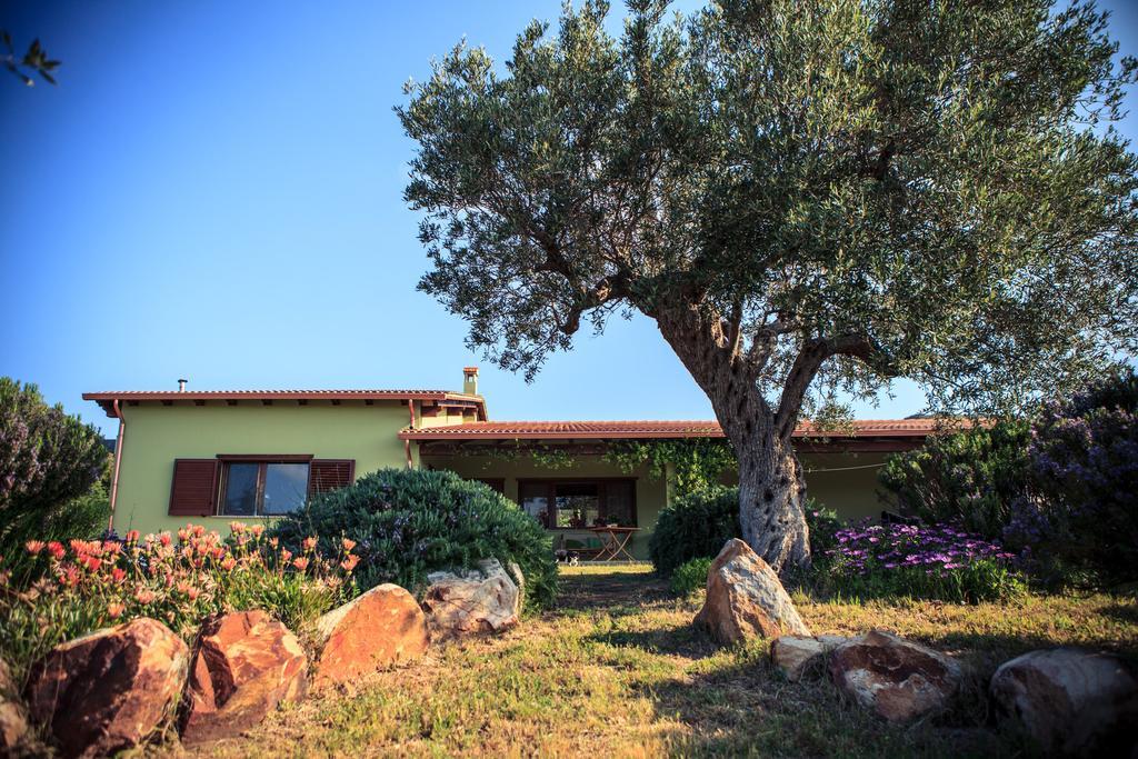 Agriturismo Il Ginepro Флуминимаджоре Екстериор снимка