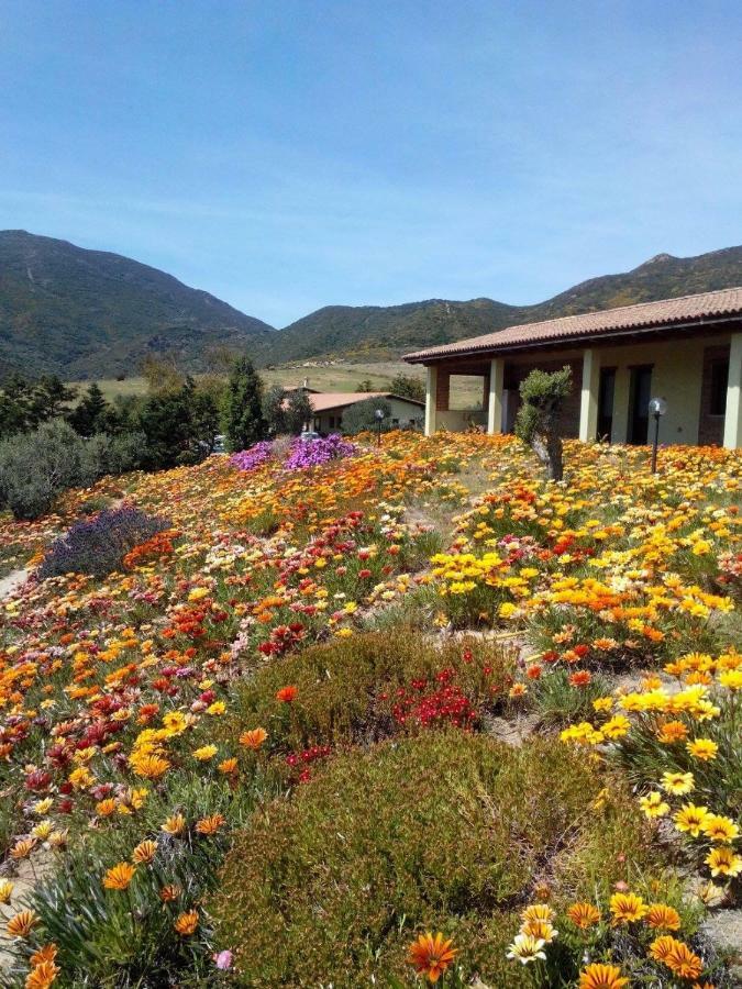 Agriturismo Il Ginepro Флуминимаджоре Екстериор снимка