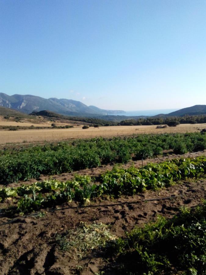 Agriturismo Il Ginepro Флуминимаджоре Екстериор снимка